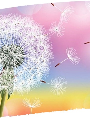 Corso di Sensibilizzazione – Trebaseleghe